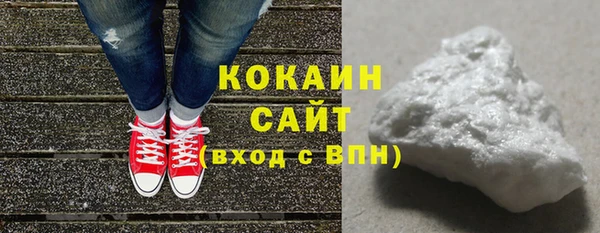 гидра Михайловка