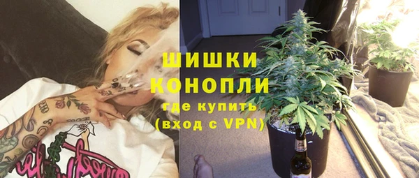 гидра Михайловка